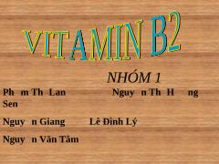 Thuyết trình Vitamin B2
